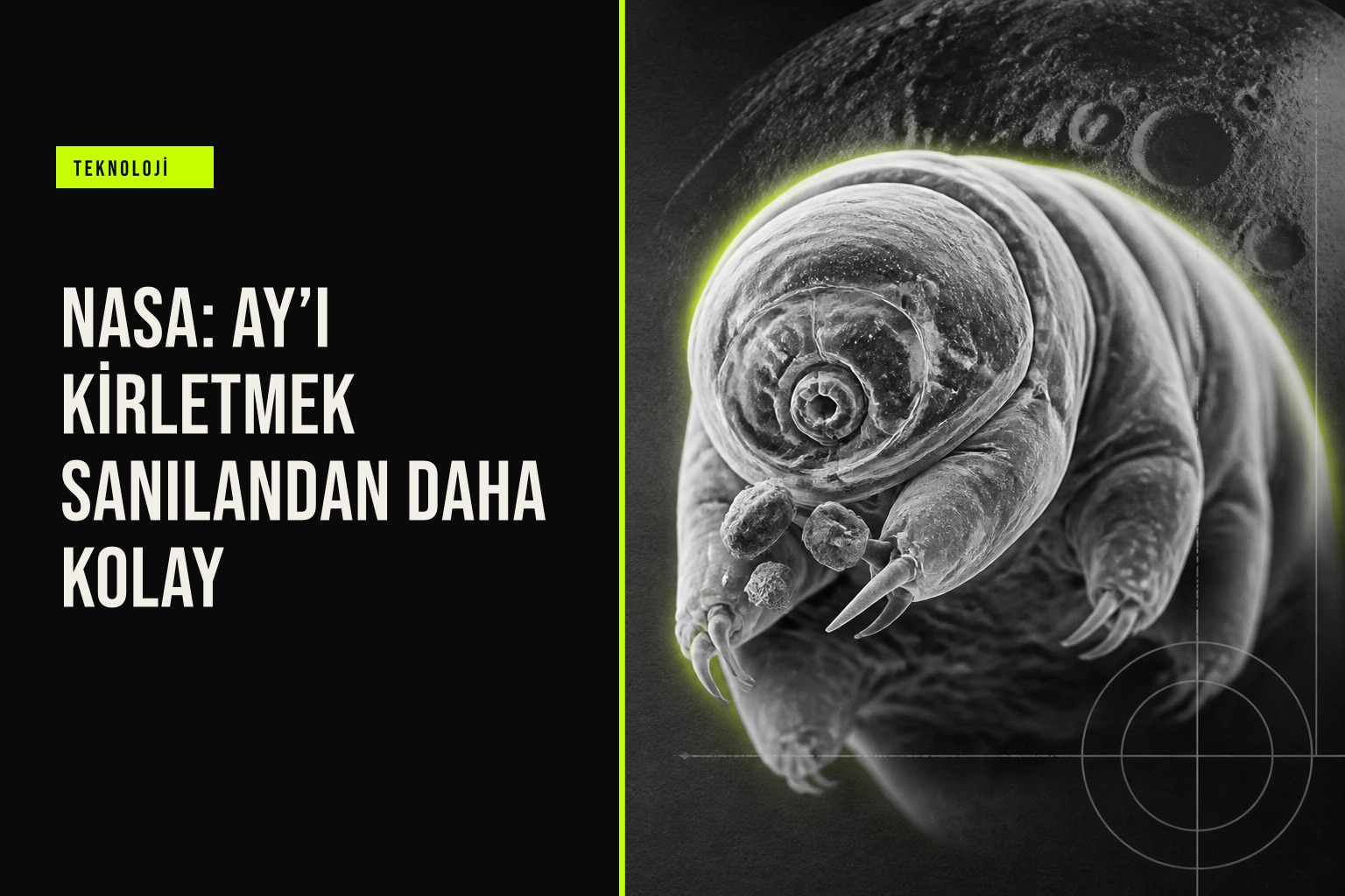 NASA araştırmacıları Ay kutup gölgelerinde mikroorganizmaların kriptobiyozla yıllarca hayatta kalabileceğini gösteren simülasyon sonuçlarını inceliyor