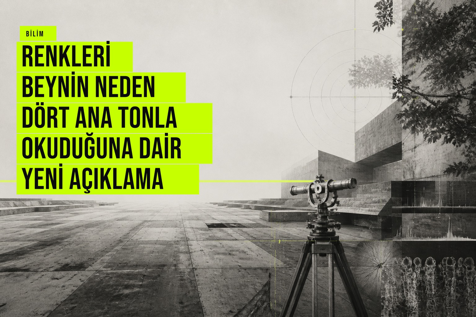 Beynin renkleri kırmızı, sarı, yeşil ve mavi eksenlerinde düzenleyişini açıklayan bilimsel çalışma, doğadaki renk dağılımını inceliyor.