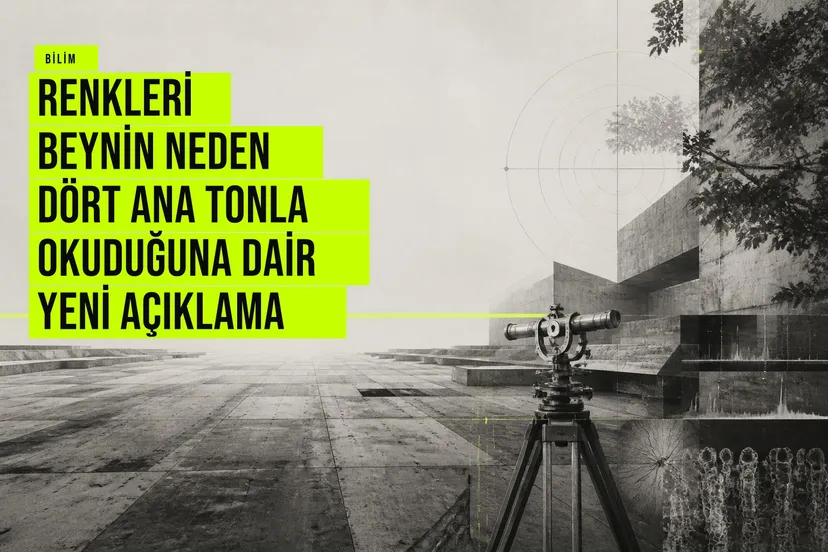Beynin renkleri kırmızı, sarı, yeşil ve mavi eksenlerinde düzenleyişini açıklayan bilimsel çalışma, doğadaki renk dağılımını inceliyor.