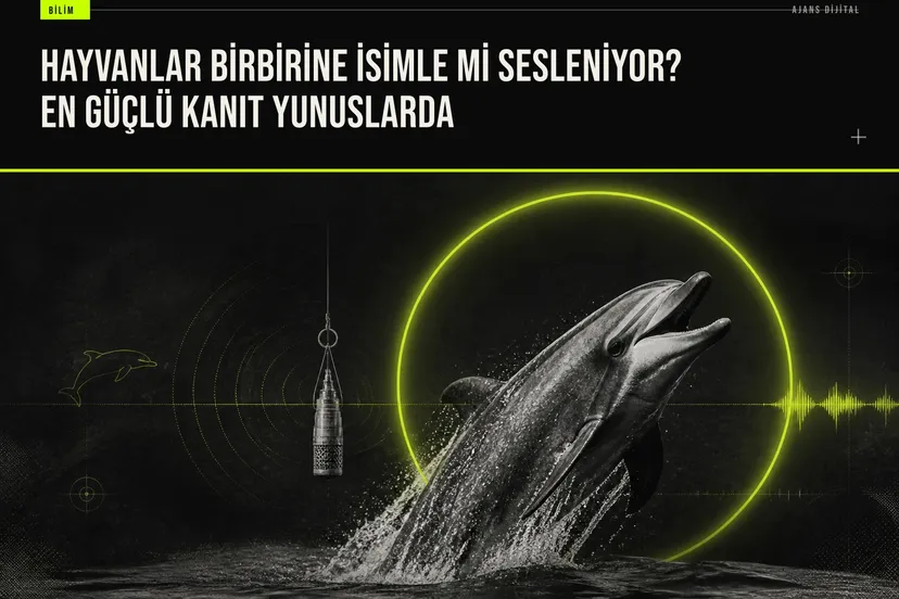 Yunuslar birbirlerini özel tırtılarla isimlendirerek çağırıyor, bilim insanları bu davranışı insan diline benzeten en güçlü kanıt olarak görüyor.