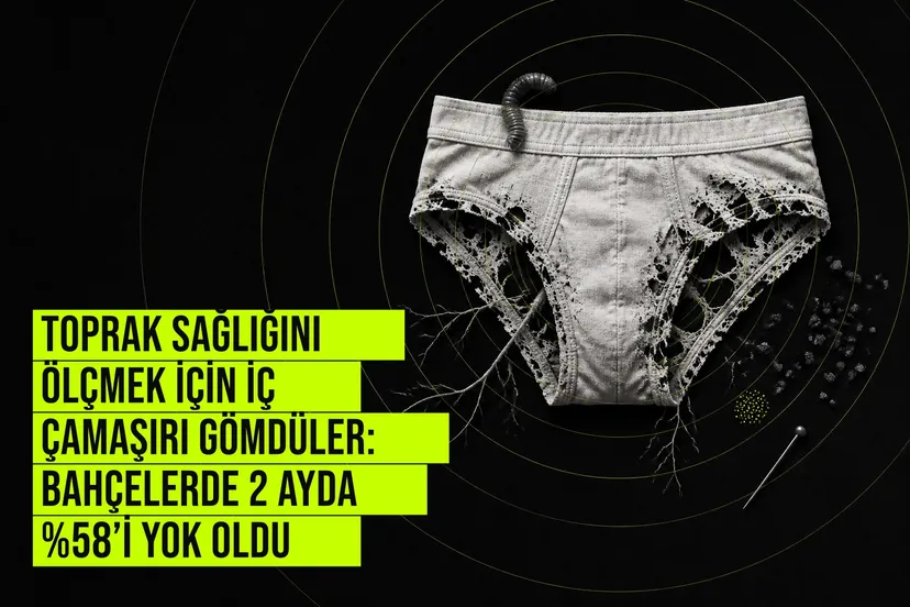 Zürih Üniversitesi araştırmacıları topraktaki canlılığı pamuk iç çamaşırı çürümesiyle ölçmek için bahçelerde gömüldü.