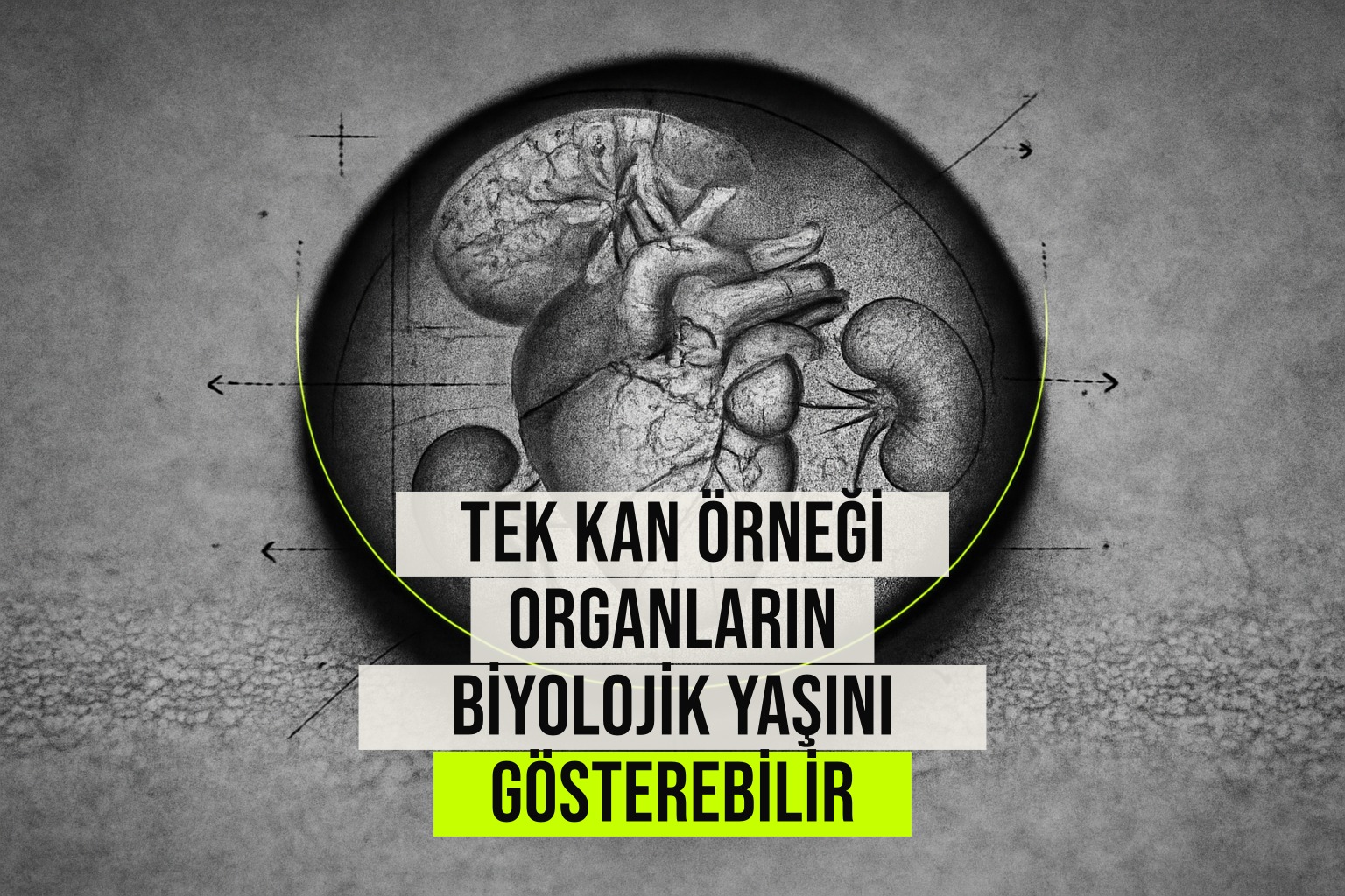 Yapay zeka destekli tek kan testi, kalp, beyin ve diğer organların kronolojik yaştan sapmalarını biyolojik yaş olarak hesaplıyor.