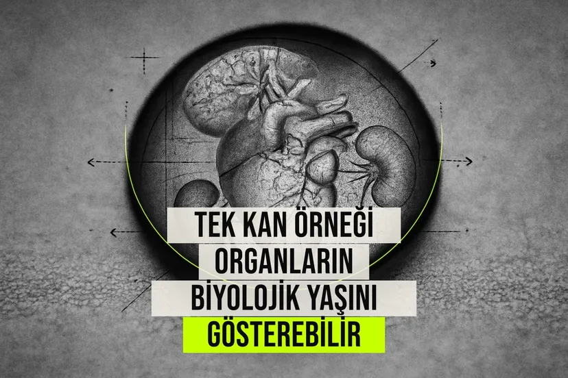 Yapay zeka destekli tek kan testi, kalp, beyin ve diğer organların kronolojik yaştan sapmalarını biyolojik yaş olarak hesaplıyor.