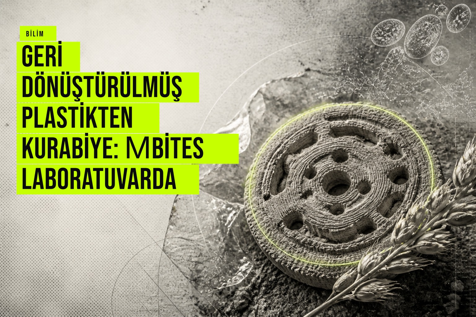 Laboratuvarda 3B yazıcı ile üretülmüş, geri dönüştürülmüş PET plastikten ve tarımsal atıktan elde edilen µBites kurabiyeleri