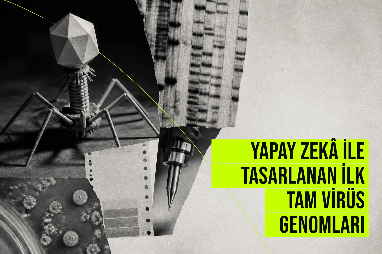 Yapay zeka ile tasarlanan ve bakterileri hedefleyen ilk tam virüs genomlarının dijital modellemesi ve DNA dizilimi görselleştirmesi.