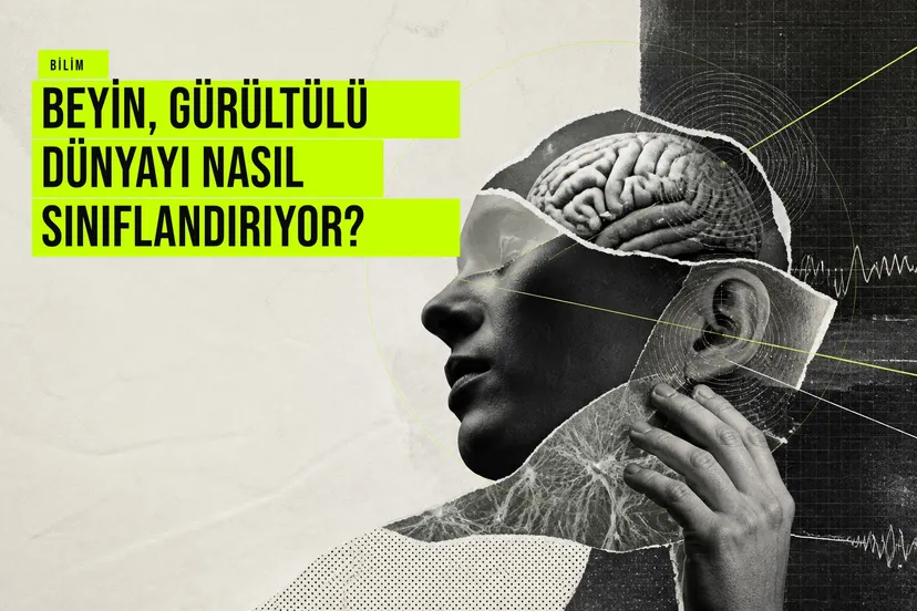 Beynin duyusal bilgiyi bedenin ihtiyaçlarına göre anlık olarak sınıflandırmasını anlatan bilimsel bir illüstrasyon