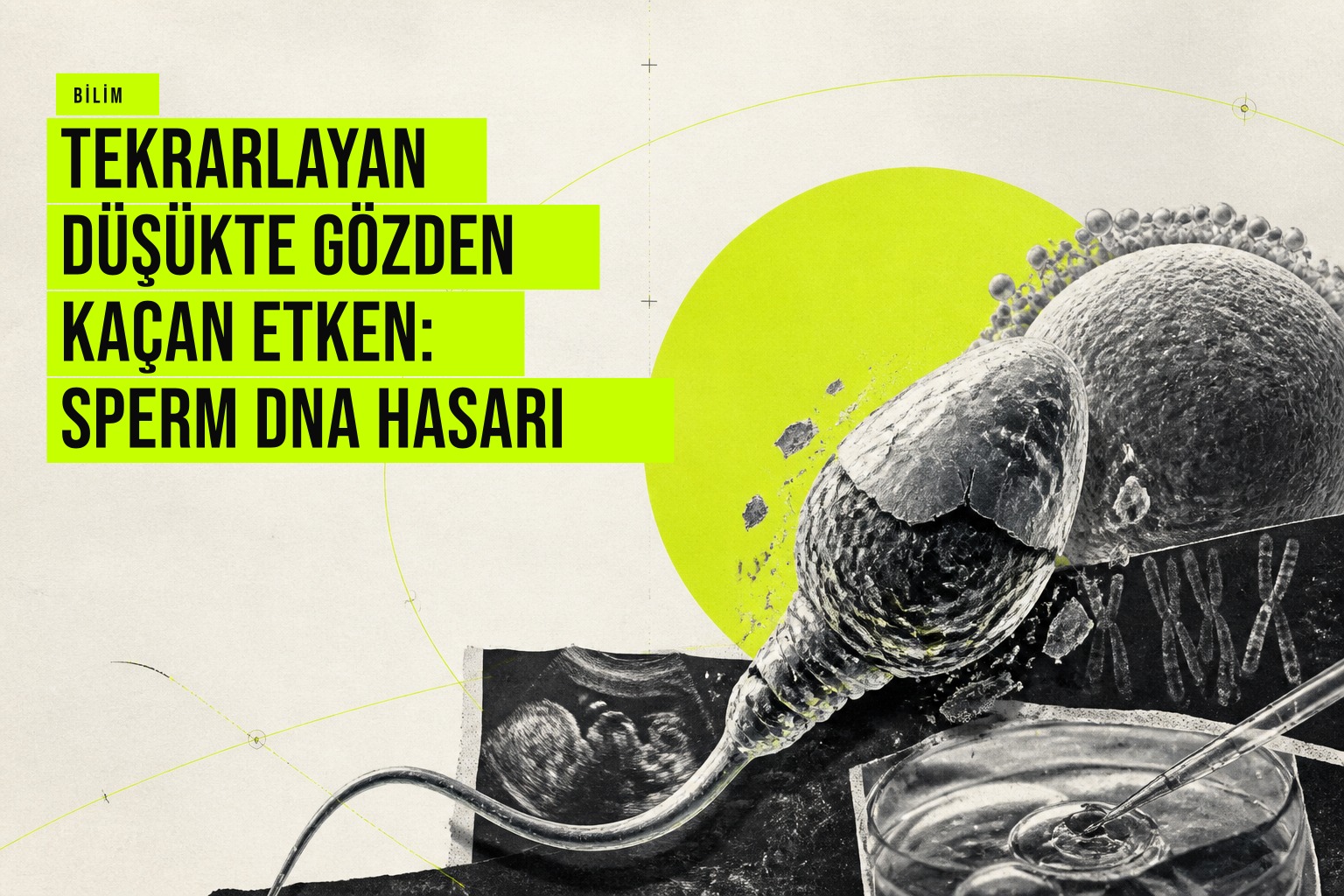 Tekrarlayan düşüklerde sperm DNA parçalanması testinin önemi ve embriyo gelişimi üzerindeki etkisini gösteren bilimsel bir illüstrasyon.
