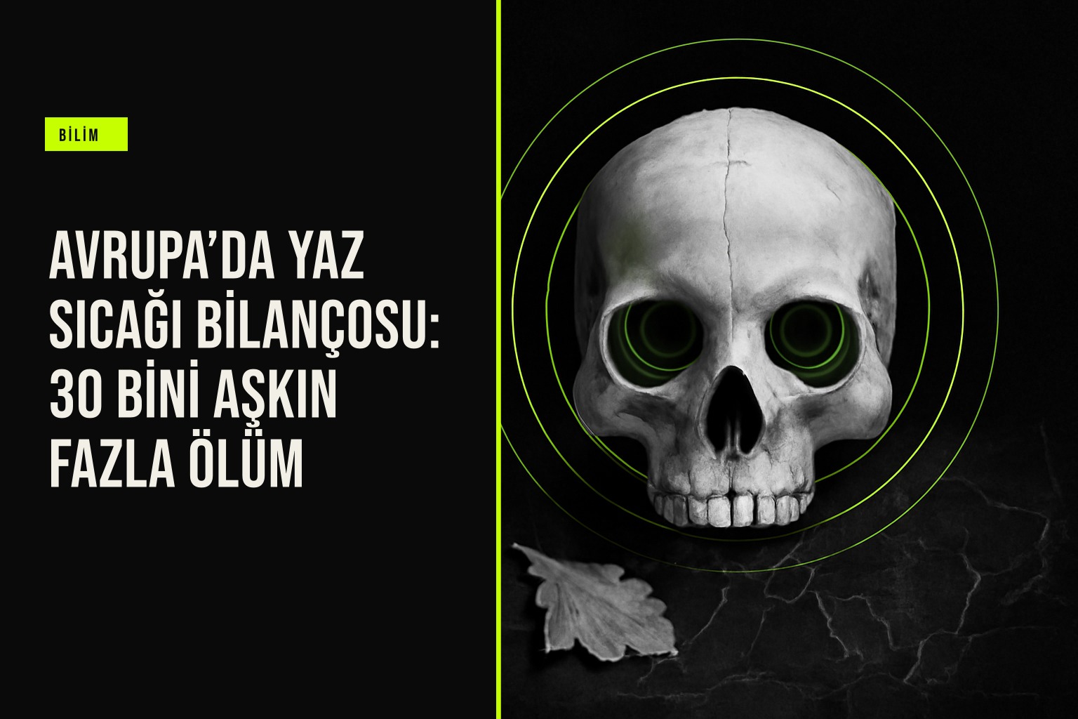 Avrupa'yı saran şiddetli sıcak hava dalgalarının neden olduğu aşırı ölümlerin 30 bini geçtiğini gösteren veri görselleştirmesi