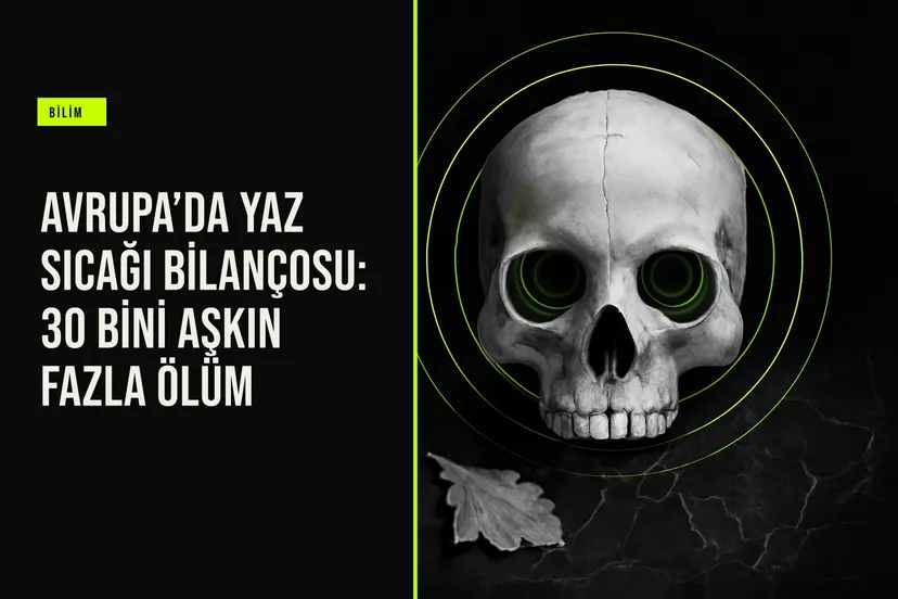 Avrupa'yı saran şiddetli sıcak hava dalgalarının neden olduğu aşırı ölümlerin 30 bini geçtiğini gösteren veri görselleştirmesi