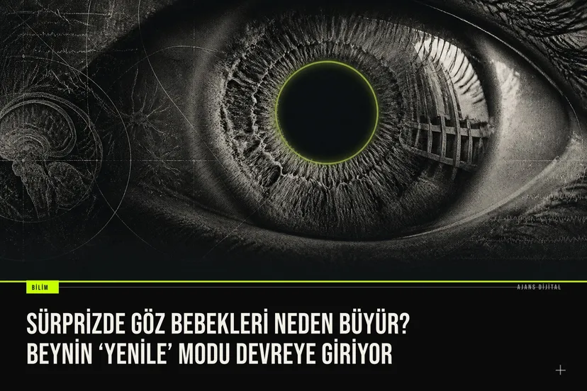Sürpriz anında göz bebeğinin büyümesini ve beynin EEG dalgalarıyla yeni bilgiye uyum sağlayan yenileme modunu gösteren bilimsel görselleştirme.