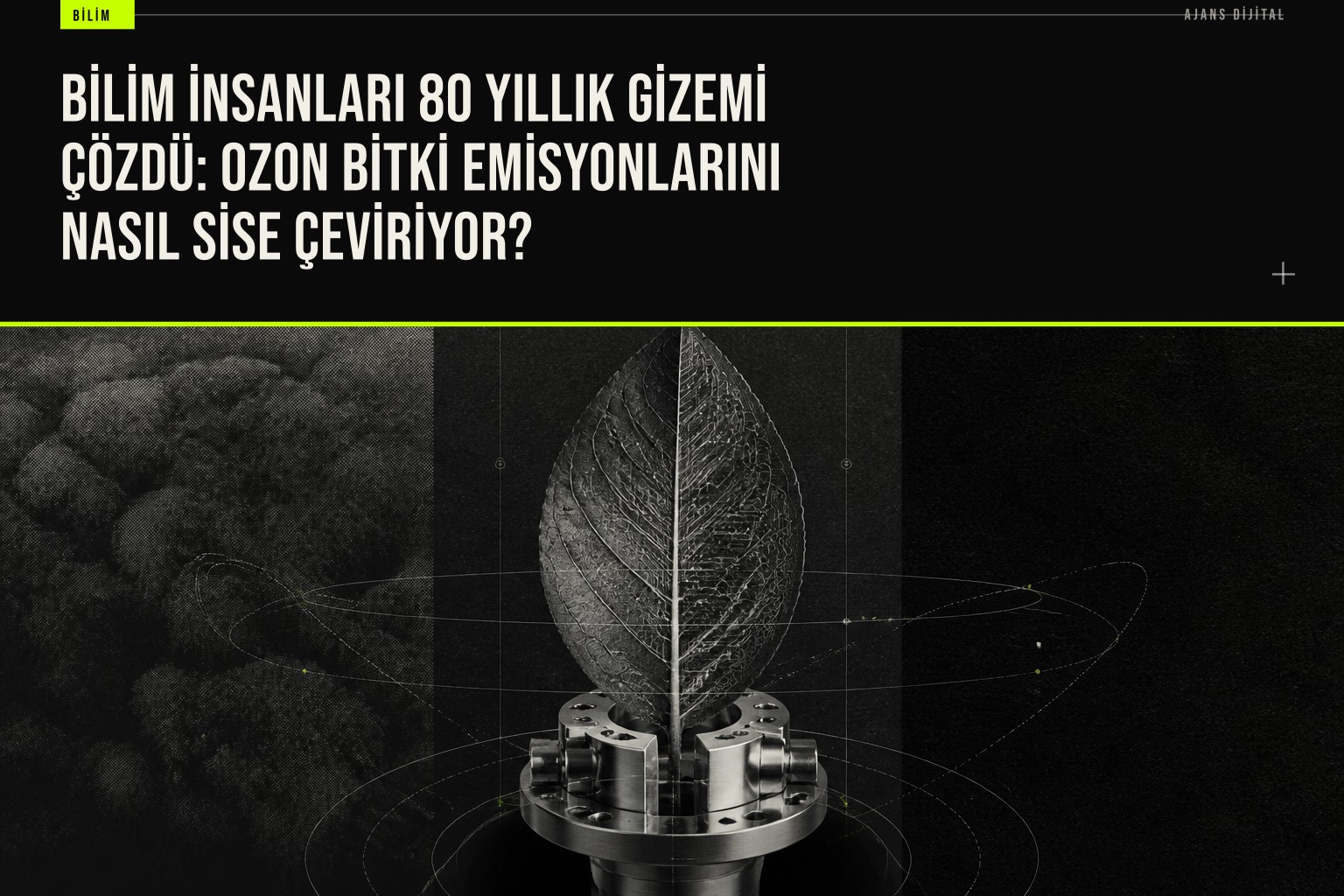 Bilim insanları ozonun bitkilerden çıkan izoprenle reaksiyonunu yakalayarak şehir sisi oluşumunun ilk adımlarını laboratuvar ortamında belgelendi.