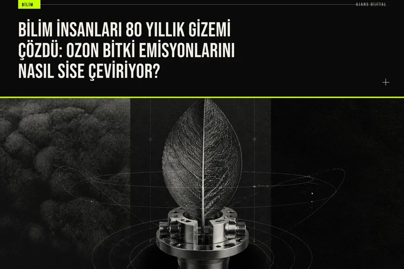 Bilim insanları ozonun bitkilerden çıkan izoprenle reaksiyonunu yakalayarak şehir sisi oluşumunun ilk adımlarını laboratuvar ortamında belgelendi.