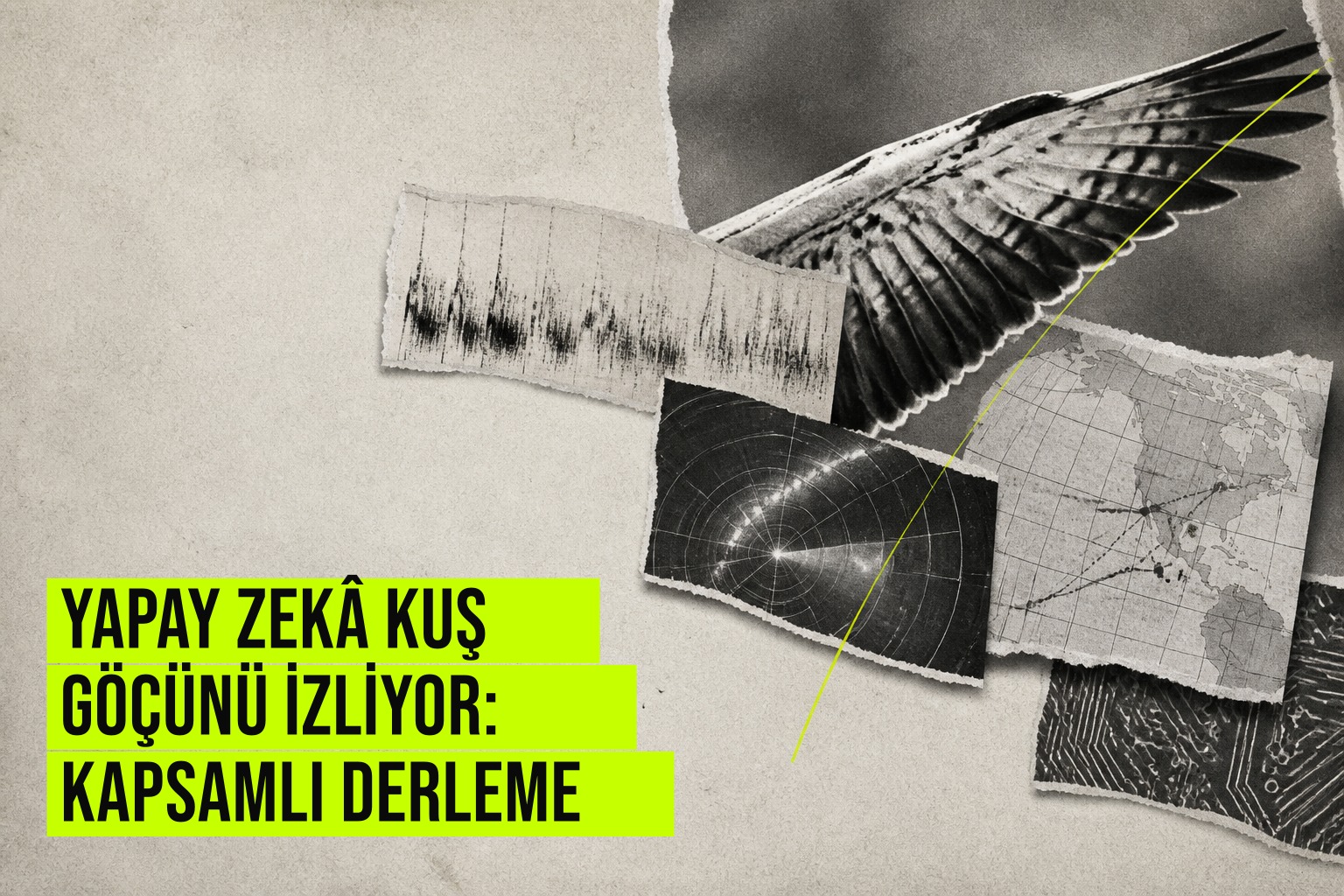 Yapay zeka ve otomatik ses kayıtlarıyla kuş göç rotalarının ve zamanlamasının öngörüldüğünü gösteren bilimsel çalışma görselleştirmesi.