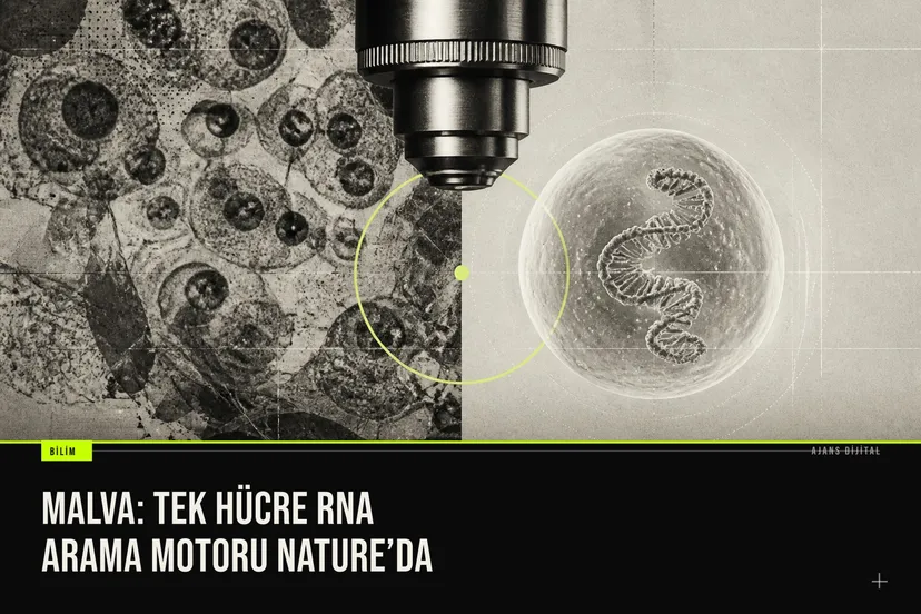 Malva tek hücre RNA arama motoru Nature dergisinde yayımlanarak milyonlarca hücre verisini saniyelerde tarama yeteneğini gösteriyor.