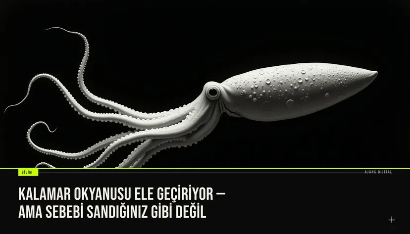 resim, geniş okyanus alanında bir grup kalamarın yüzerken dalga içinde çabuk hareket ettiğini gösteren underwater fotoğrafı