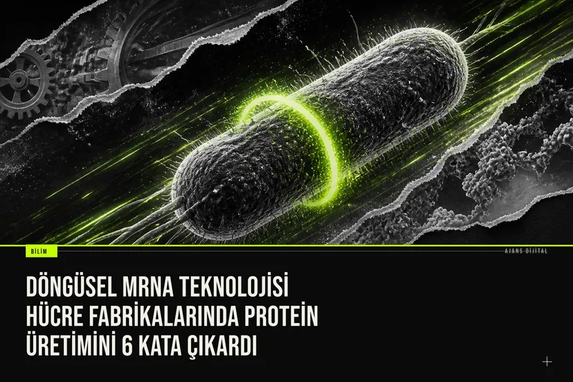 Döngüsel mRNA teknolojisi hücre fabrikalarında protein üretimini 6 kata çıkardı haberi için üretilen kapak görseli