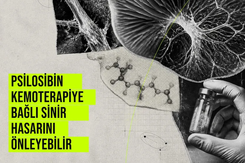 Psilosibin molekülünün yapısını gösterirken yanında nöronlar ve kemoterapi ilacı şişeleri görüntüleniyor, koruyucu etkisi vurgulanıyor