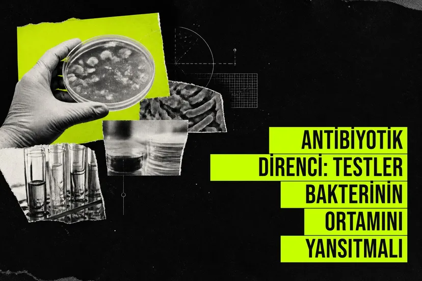 Antibiyotik direnci: Testler bakterinin ortamını yansıtmalı haberi için üretilen kapak görseli