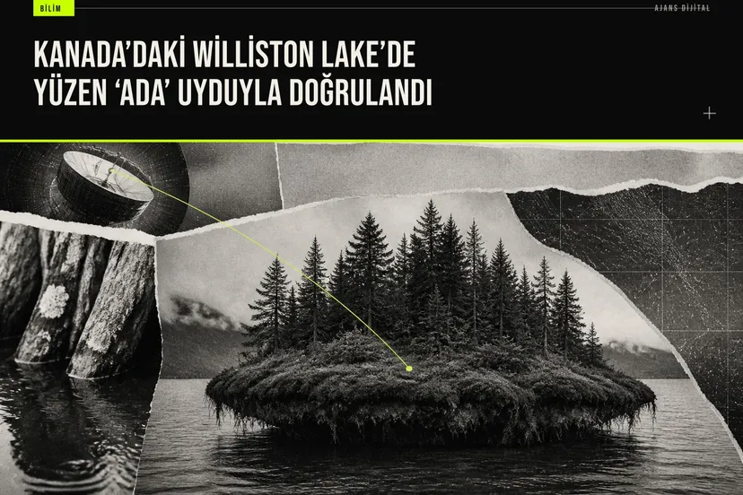 Britanya Kolumbiyası’ndaki Williston Lake üzerinde ağaçlarla kaplı yüzen bir ada ve yer değiştirdiğini gösteren uydu bulguları