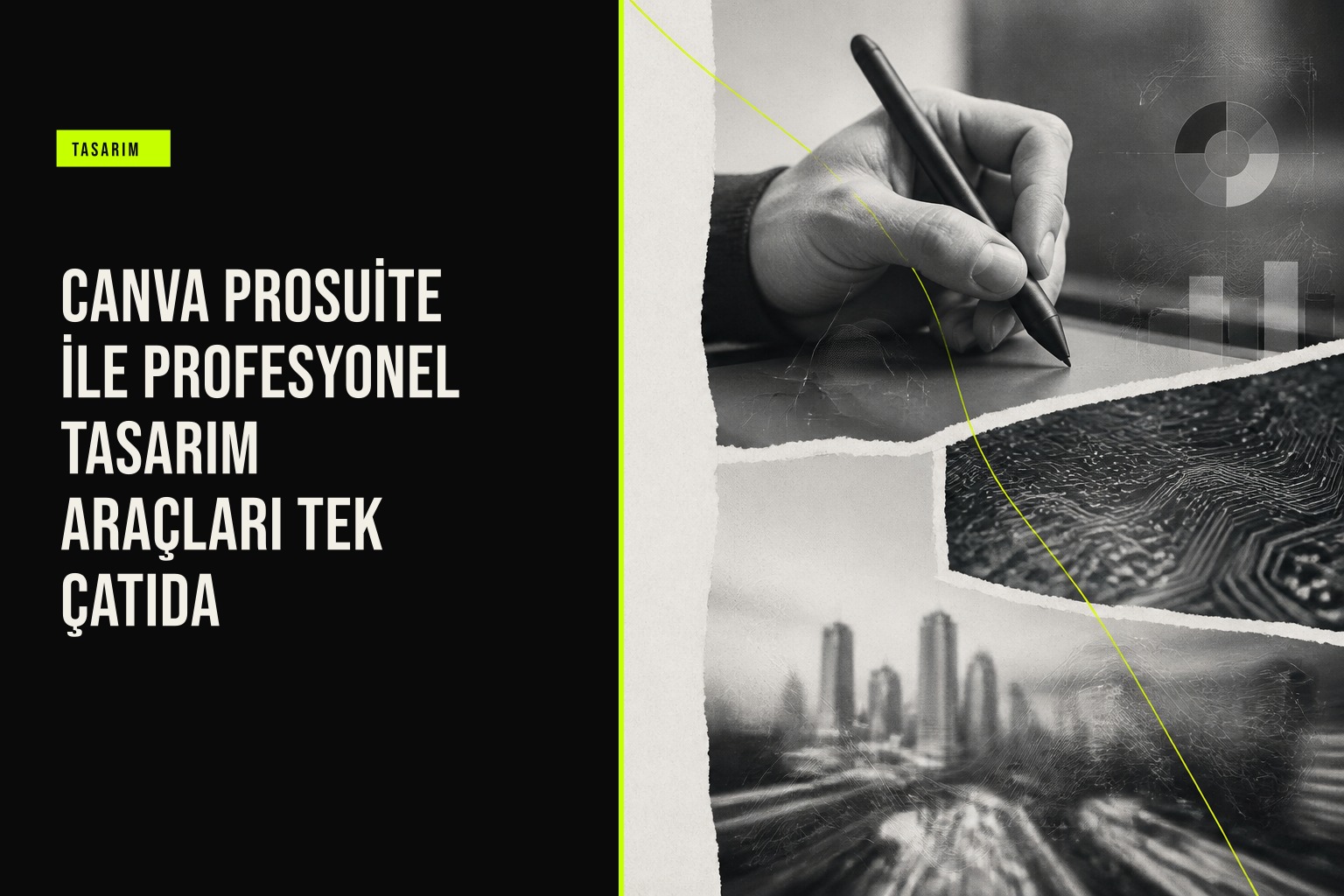 Canva ProSuite logosuyla Affinity, Cavalry, Flourish ve Leonardo uygulamalarını birleştiren yeni profesyonel tasarım ekosistemi arayüzü.