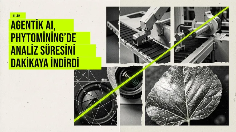 ORNL laboratuvarında agentik yapay zeka sistemi pennycress bitkilerinin nikel emilimini dakikalar içinde analiz ediyor.