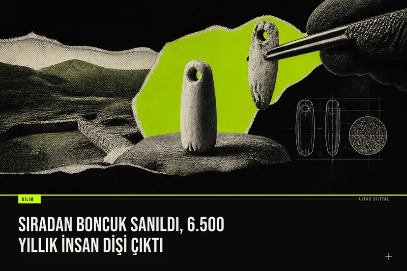 Sıradan Boncuk Sanıldı, 6.500 Yıllık İnsan Dişi Çıktı haberi için üretilen kapak görseli