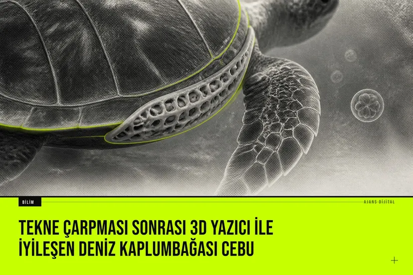 Omuriliği hasar gören yeşil deniz kaplumbağası Cebu, 3D yazılı özel hamul ve kök hücre tedavisi sayesinde yeniden yüzmeyi başarıyor.