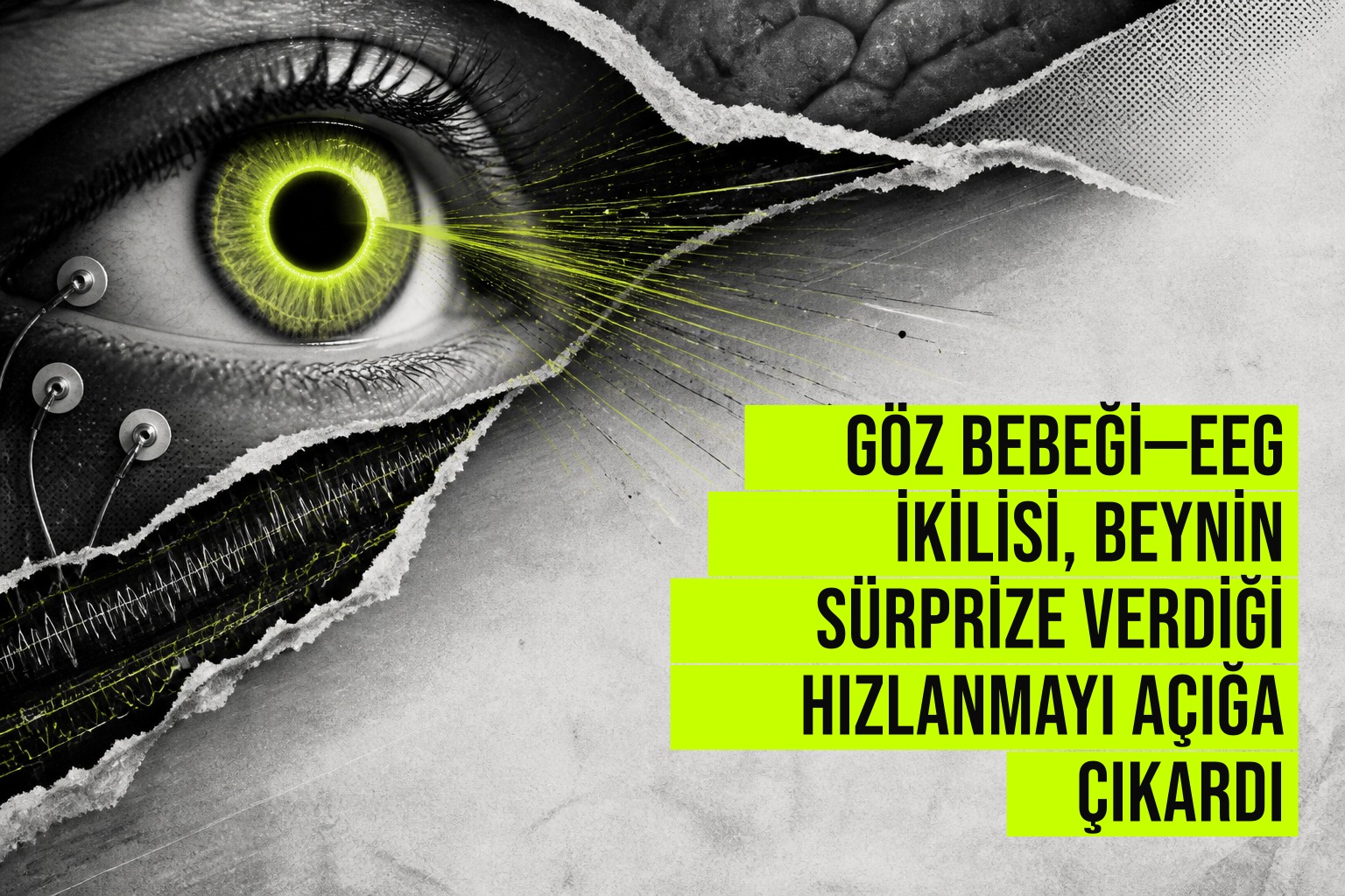Göz bebeği genişlerken beyin dalgaları değişen bir grafikte sürpriz anını gösteren bilimsel illüstrasyon