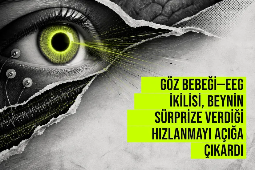 Göz bebeği genişlerken beyin dalgaları değişen bir grafikte sürpriz anını gösteren bilimsel illüstrasyon