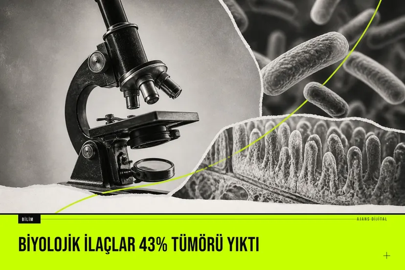 fotoğraf: mühendislikle üretilmiş probiyotik bakterinin colorectal tümörleri üzerine etkisini gösteren laboratuvar deneyi görüntüsü