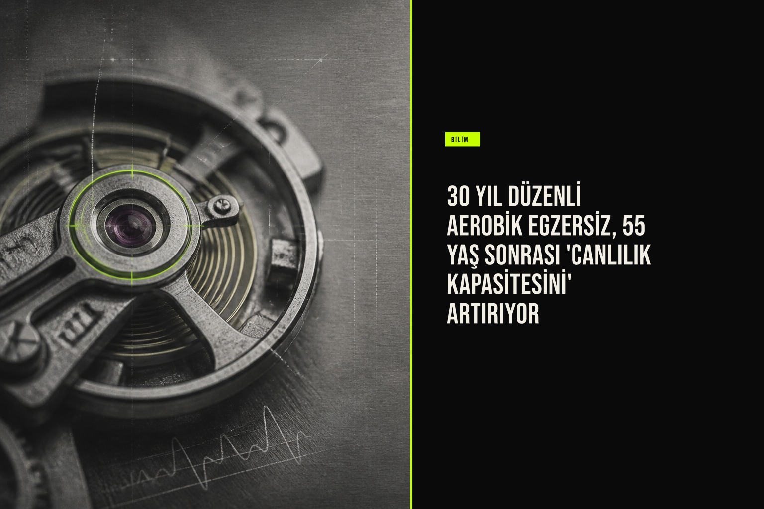 55 yaş üstünde 30 yıl aerobik egzersiz, kalp hızı değişkenliğini ve oksijen doygunluğunu artırarak canlılık kapasitesini yükseltiyor.