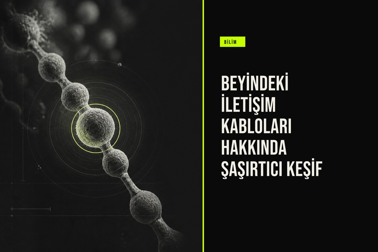 Beyindeki İletişim Kabloları Hakkında Şaşırtıcı Keşif haberi için üretilen kapak görseli