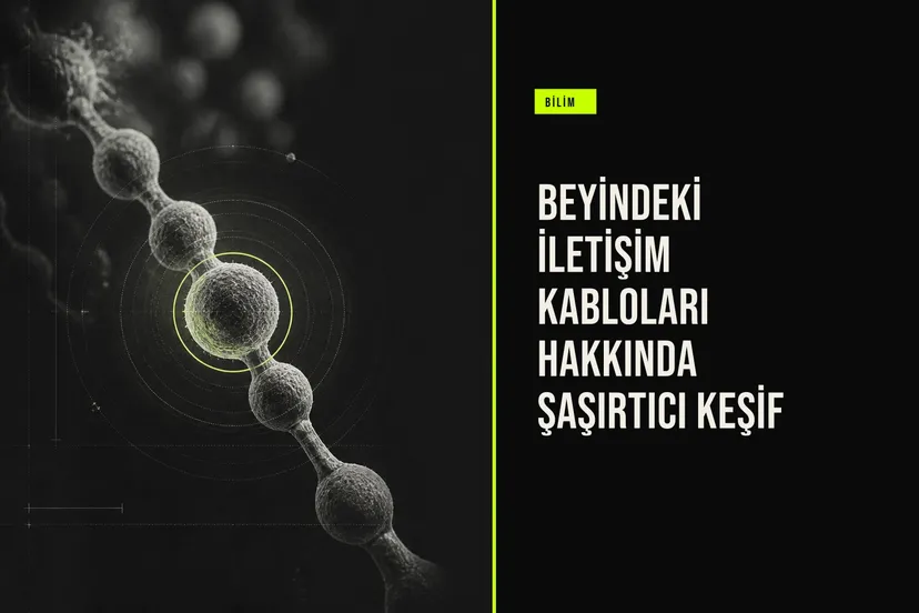 Beyindeki İletişim Kabloları Hakkında Şaşırtıcı Keşif haberi için üretilen kapak görseli