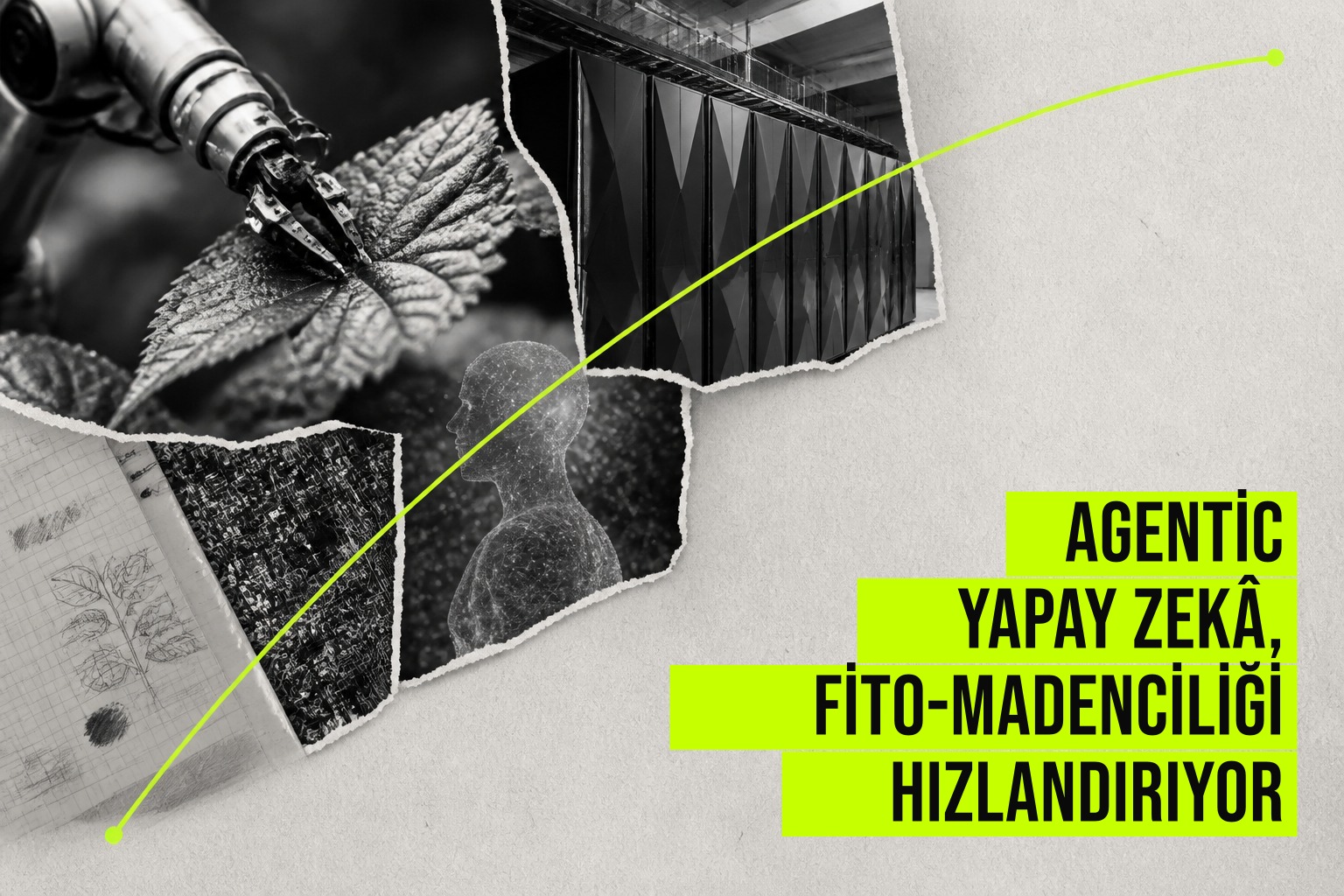 Ajan tabanlı yapay zeka modeli, Frontier süper bilgisayarda nikel biriktiren bitki türlerini dakikalar içinde tarıyor.