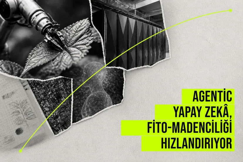 Ajan tabanlı yapay zeka modeli, Frontier süper bilgisayarda nikel biriktiren bitki türlerini dakikalar içinde tarıyor.