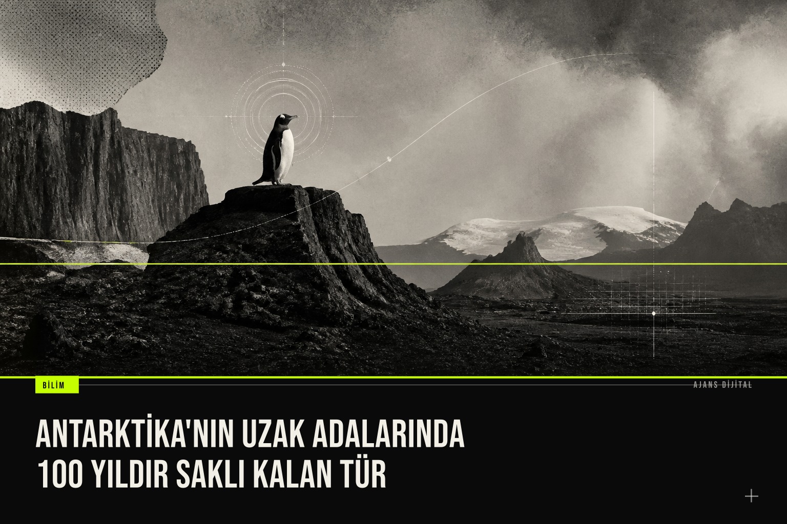 Kerguelen Adaları'nda keşfedilen yeni penguen türü Pygoscelis kerguelensis, buzlu kıyıda ayakta dururken kanatlarını hafifçe açmış durumda.