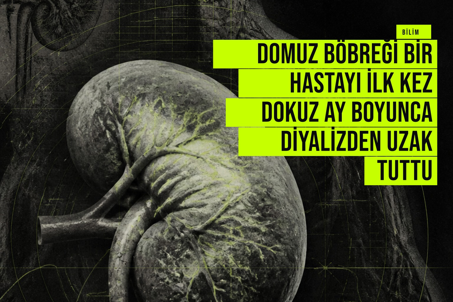 Genetik olarak değiştirilmiş domuz böbreği transplantasyonu sonrası diyalizden kurtulan Tim Andrews'ın doktor kontrolleri sırasında sağlıklı görünümü