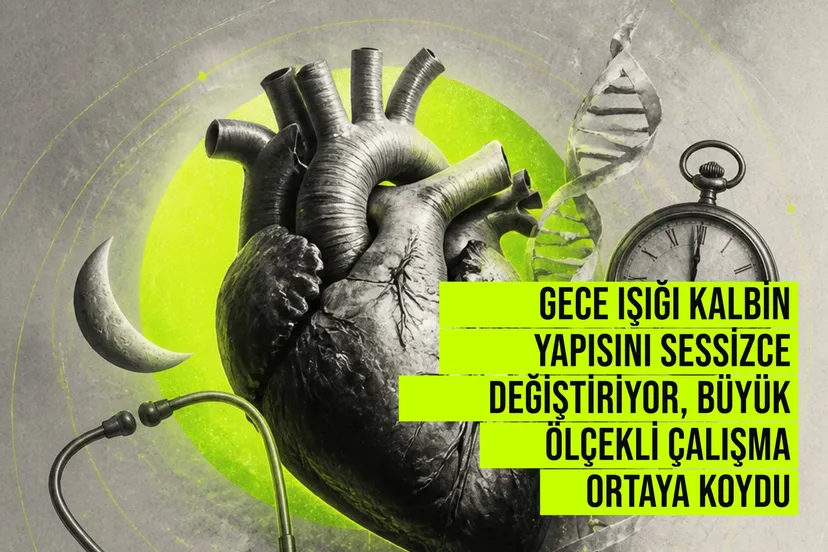 Gece ışığına maruz kalan bireylerde kalp odalarının büyümesi, duvar kalınlaşması ve kasılma gücünün azalması tespit edildi