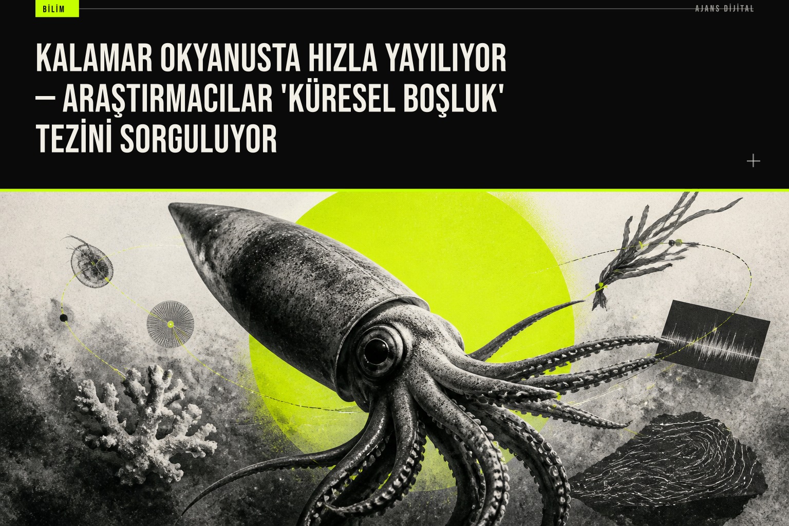 Okyanusta kalamar sürüsünün hızlı çoğalması, bilim insanlarına ekosistem bozulmasına anında tepki veren bu türün stratejisini kanıtladı.
