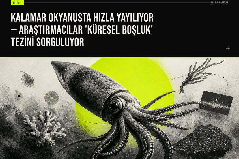 Okyanusta kalamar sürüsünün hızlı çoğalması, bilim insanlarına ekosistem bozulmasına anında tepki veren bu türün stratejisini kanıtladı.