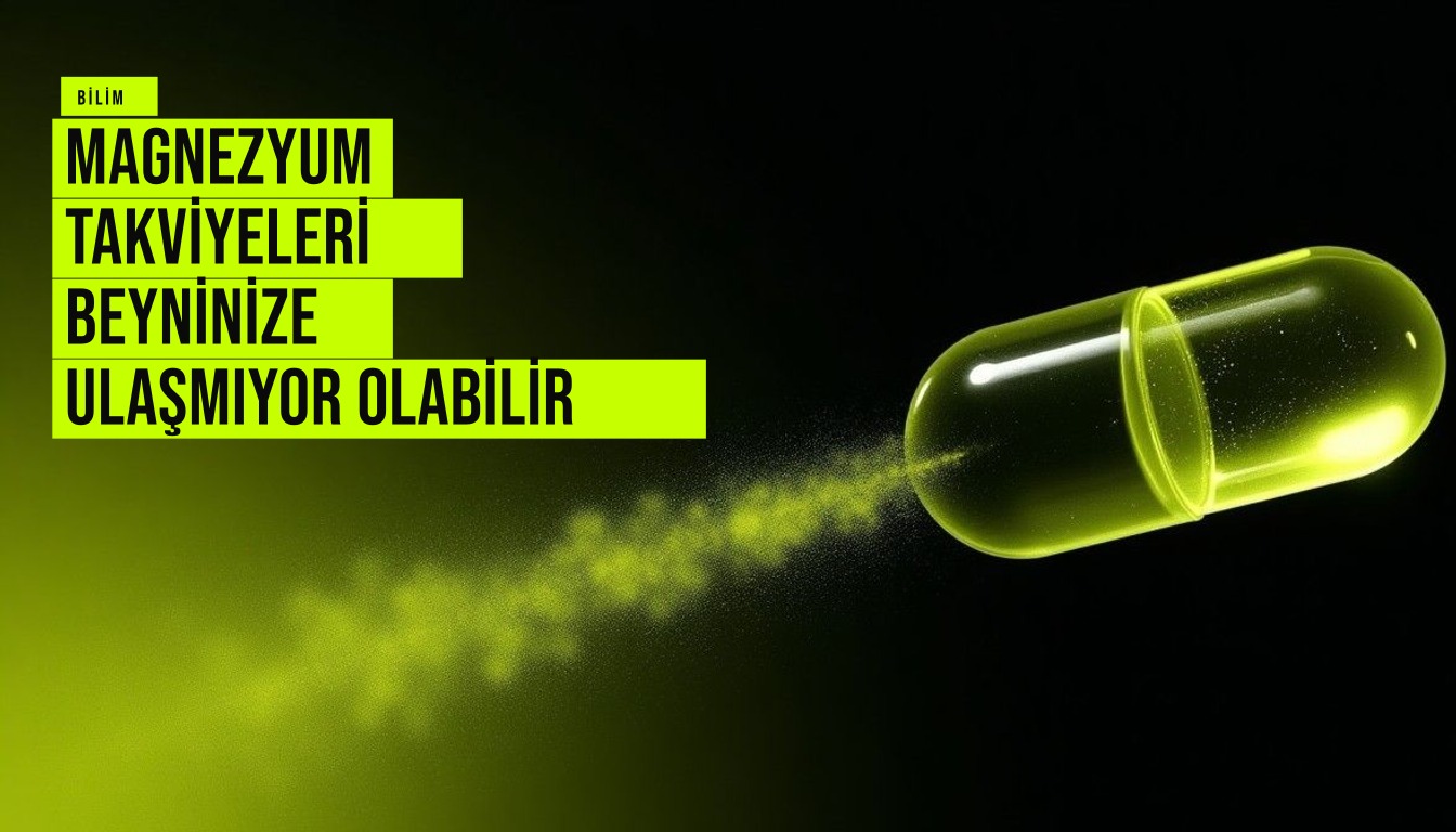 Magnezyum takviyesi şişesi ve beyin modeli yan yana, beyne ulaşım konusunda bilimsel şüpheleri simgeliyor.