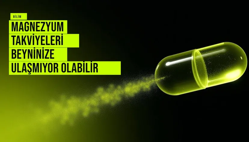 Magnezyum takviyesi şişesi ve beyin modeli yan yana, beyne ulaşım konusunda bilimsel şüpheleri simgeliyor.