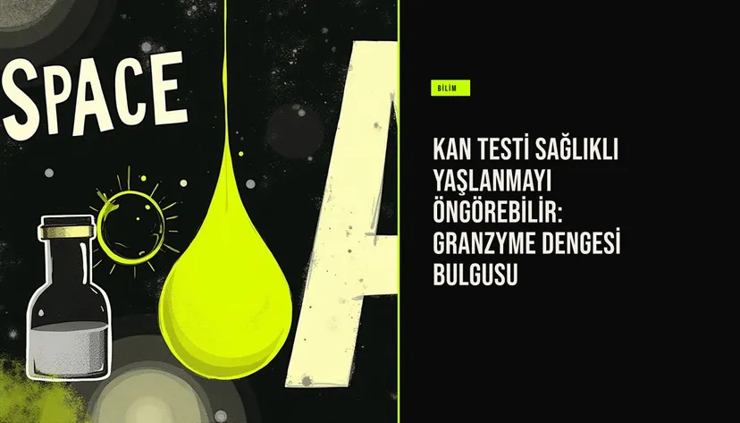 Kan testi sağlıklı yaşlanmayı öngörebilir: Granzyme dengesi bulgusu haberi için üretilen kapak görseli