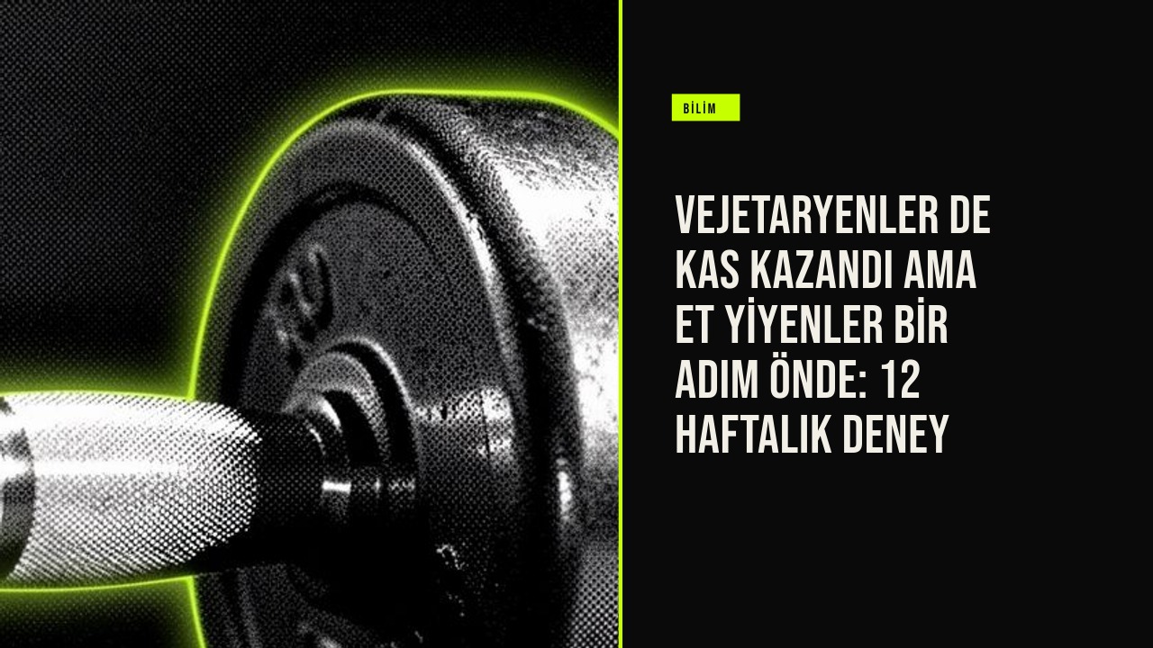 55 yaş üstü vejetaryenler ve et yiyen katılımcılar, direnç antrenmanı yaparken kas kütlesi ve güç artışını ölçen laboratuvar ortamında