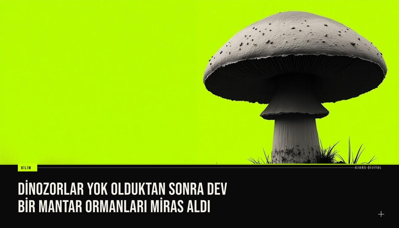 dev mantar ormanını gösteriyor, yüksek meyve gövdeli mantarlar ve yeşil çökerlikler içinde dinozor izi olmayan bir prehistoric peyzaj
