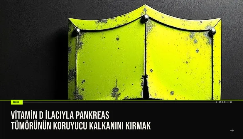 resim, pankreas tümörünün çevresindeki fibrozis bariyerinin vitamin D analoğu paricalcitol ile zayıflatıldığını gösteren görselleştirme