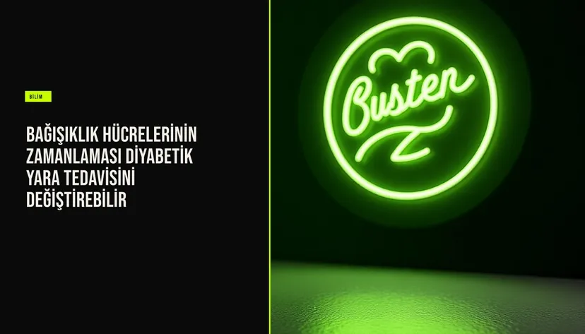 Mikroskop altındaki diyabetik yara dokusunda makrofaj ve nötrofil hücrelerinin zamanla değişen yoğunluğunu gösteren bilimsel görüntüleme verisi.