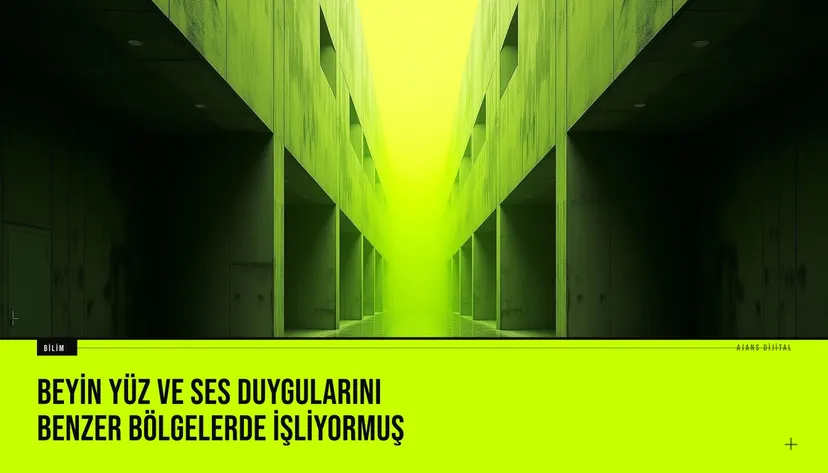 Beyin yüz ve ses duygularını benzer bölgelerde işliyormuş haberi için üretilen kapak görseli