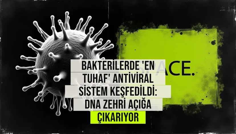 Bakterilerde yeni keşfedilen tip VI retron antiviral sisteminin fag enfeksiyonuna karşı DNA zehri üreten molekül mekanizması