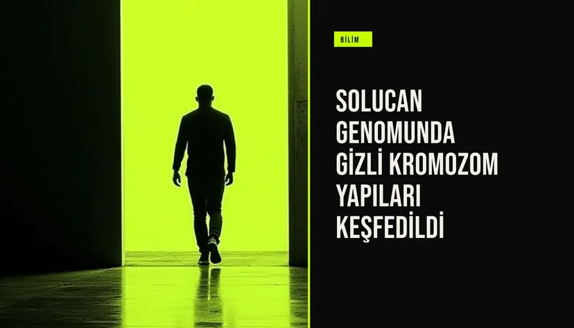 Bazel Üniversitesi araştırmaları C. elegans solucanında tek DNA moleküllerini izleyerek kromozomlardaki üç gizli büyük alanı ortaya çıkardı.